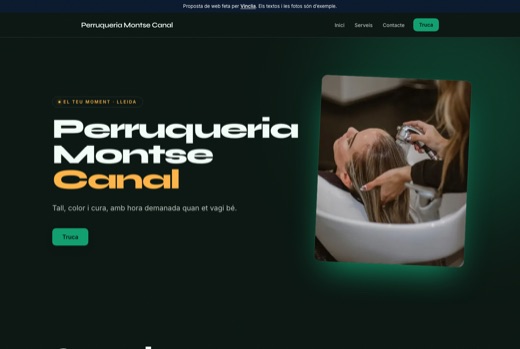 Web feta per Vinclia per a un negoci del sector: perruqueria