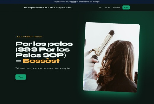 Web feta per Vinclia per a un negoci del sector: perruqueria